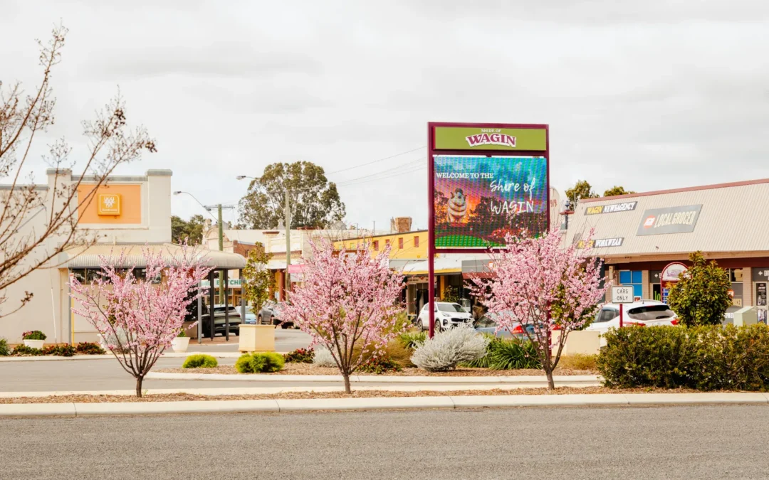 Wagin town